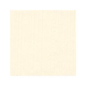 油絵具 パーマネントホワイト (DU460) 10号 ホルベイン油絵具 デュオ