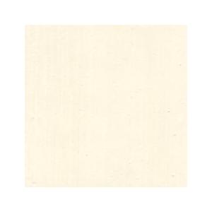 油絵具 チタニウムホワイト (DU461) 10...の商品画像