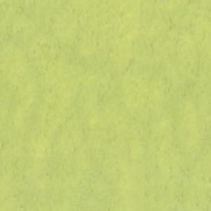 若芽色 わかめいろ(341) 20mlチューブ  ターナー アクリルガッシュ