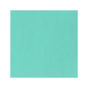 アイスグリーン (D069) 6号20ml ホルベイン アクリリックガッシュ