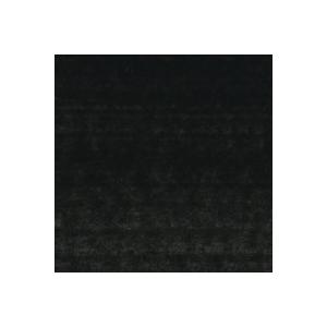 カーボン ブラック(067) 20号100ml　アキーラ水性アルキド樹脂絵具