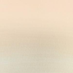 フレッシュピーチ A-33 11mlチューブ アキーラ ガッシュ水性樹脂絵具の商品画像