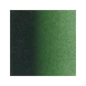 フーカスグリーン (AI854) 100ml ホルベイン アクリリック インク