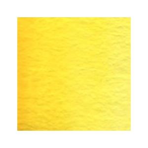 ホルベイン 透明水彩絵具｜パーマネントイエローライト 2号5ml｜陶芸.com e-画材.com Yahoo!店