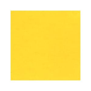 ホルベイン 山本佳子が選ぶ 絵を描く人のための不透明水彩〈ガッシュ