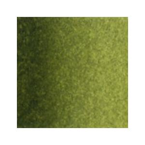 オリーブ グリーン PN546 ホルベイン アーチストパンカラー