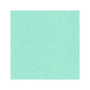 淡緑 うすみどり No.205 吉祥 角顔彩