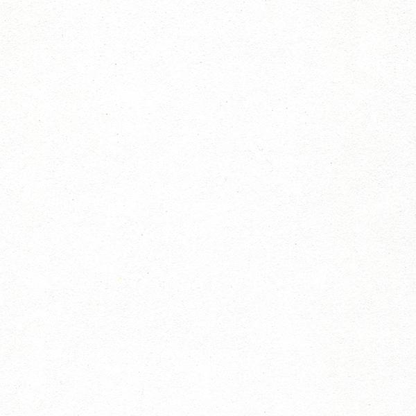 チタニウムホワイト 21005 9ml パンパステル