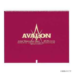 ホルベイン｜アヴァロン スプリング 中目 F3 中紙300g (中厚口) 12枚とじ (AVS-F3)
