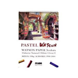 パステルブック パステルワトソンPSW-2608 厚口 F8 15枚 蝶型