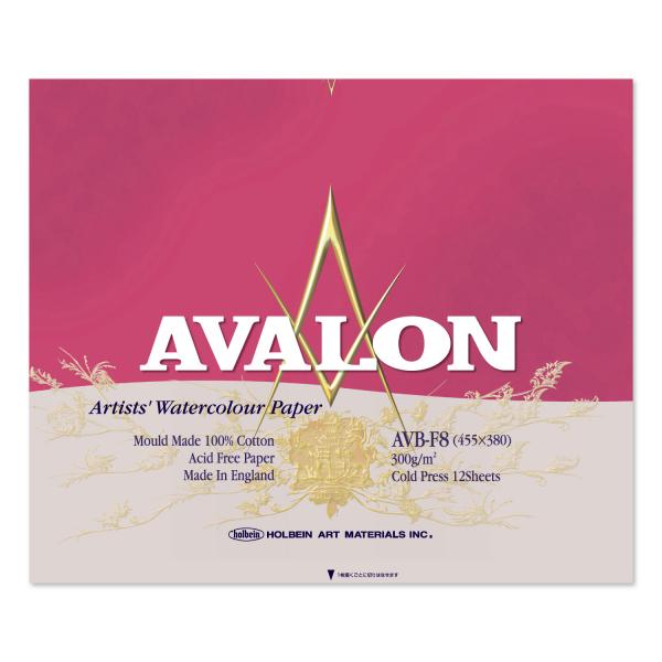 ホルベイン｜アヴァロン ブロック 中目 F8 中紙300g (中厚口) 12枚 (AVB-F8)
