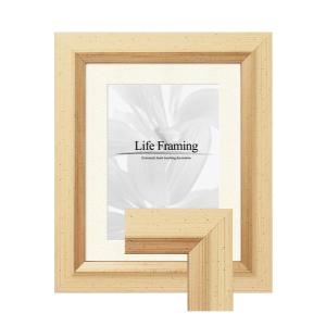 樹脂製デッサン額 SF240 レッド色フレーム (マット・アクリル付) 八切