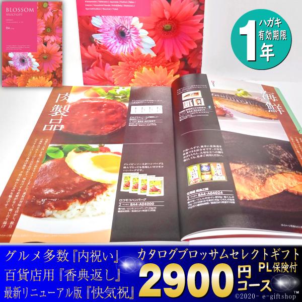 カタログ ギフト グルメ 肉 内祝い 選べる チョイス 2900円