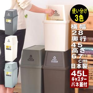 ゴミ箱 ダストボックス おしゃれ 45リットル 45l 屋外 分別 キッチン スリム 上 下 ラック ２段 北欧 安い 大容量 リビング 蓋付 収納 縦型 臭わない 大型 隙間