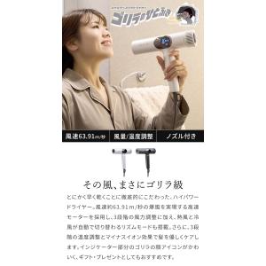 ゴリラのひとふき GRD-2501 ドライヤー...の詳細画像3