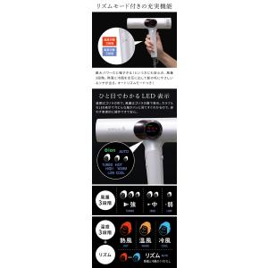 ゴリラのひとふき GRD-2501 ドライヤー...の詳細画像5