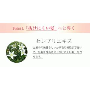 【お客様ご愛顧価格★在庫限り30%OFF】薬用...の詳細画像3