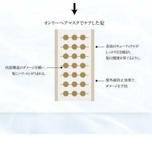 トリートメント サロン専売 酸熱トリートメント...の詳細画像5