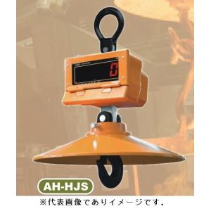 ＼ポイント5倍/ (大型) 八幡計器 AH-HJ...の商品画像