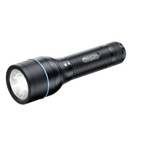 ワルサー 37111 フラッシュライト ワルサーTGS80 懐中電灯 電池式