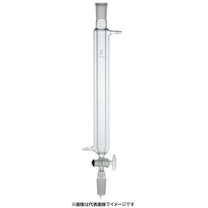 三商 外套付クロマト管 カラムφ40 上下29 ...の商品画像