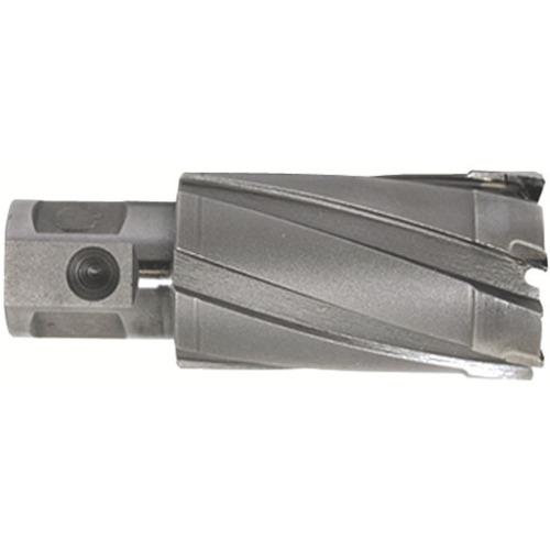 育良精機 CCSQ250 ライトボーラー用替刃(超硬刃)(51021)