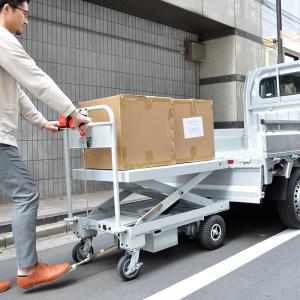 (直送) (法人限定) サンコー EPLFTU...の詳細画像2