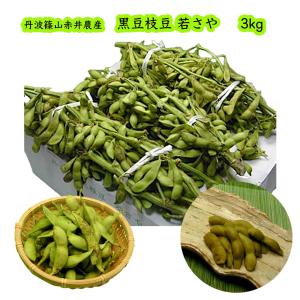 赤井さんの丹波黒豆枝豆 若さや 約3kg 枝付き...の商品画像