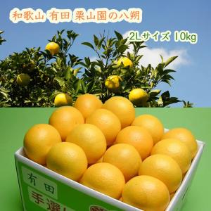 紅まどんな同品種 あいか 大きさ混合小玉多め タイムサービス 8kg S