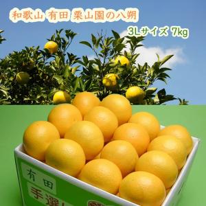 早生八朔　2Lサイズ以上20kg、3 八朔 2Lサイズ以上 20kg｜Yahoo!フリマ（旧PayPayフリマ）