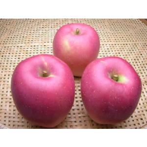 印度りんご　約３kg