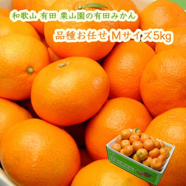栗山園の有田みかん 品種お任せ Mサイズ 5kg 宮川早生 興津早生 向山中生などの品種お任せ 1箱...
