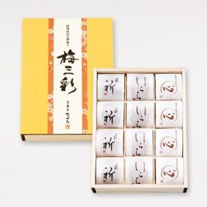 中田食品 紀州南高梅完熟梅干 梅三彩　１２個入り