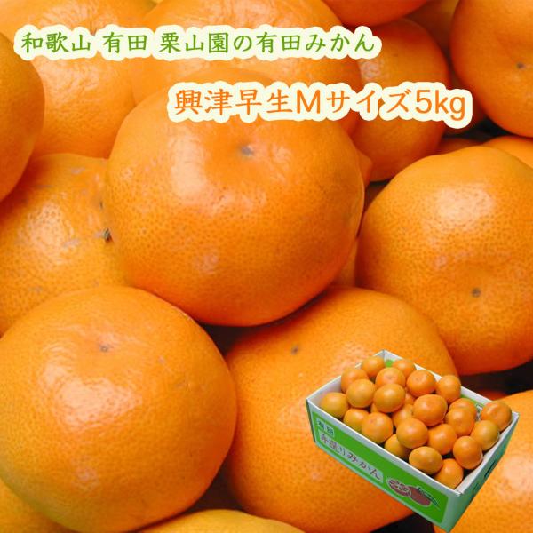 栗山園の有田みかん 興津早生 Mサイズ5kg 味が濃くて、甘味と酸味のバランスが優れたみかん 御歳暮...