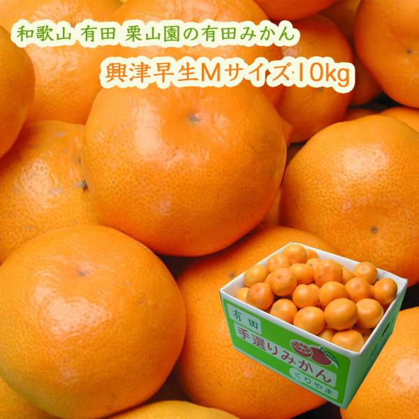 栗山園の有田みかん 興津早生 Mサイズ10kg 味が濃くて、甘味と酸味のバランスが優れたみかん 御歳...