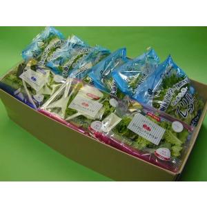 大阪府立大学植物工場　フリルレタス(約70g)６個