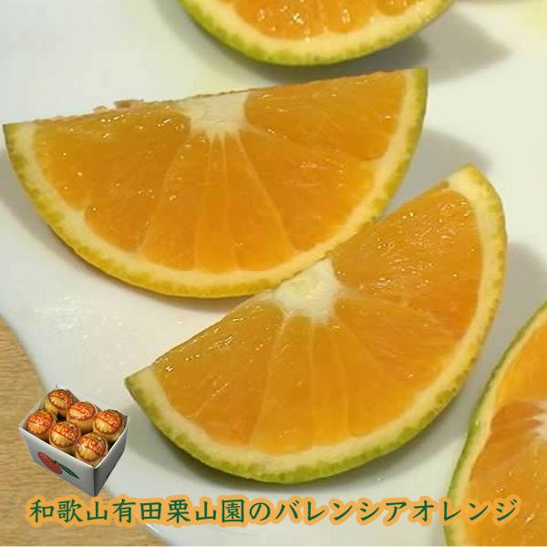 栗山園の国産バレンシアオレンジ うれしい小箱 2kg入り 和歌山県産  安心の国産オレンジ 個包装で...