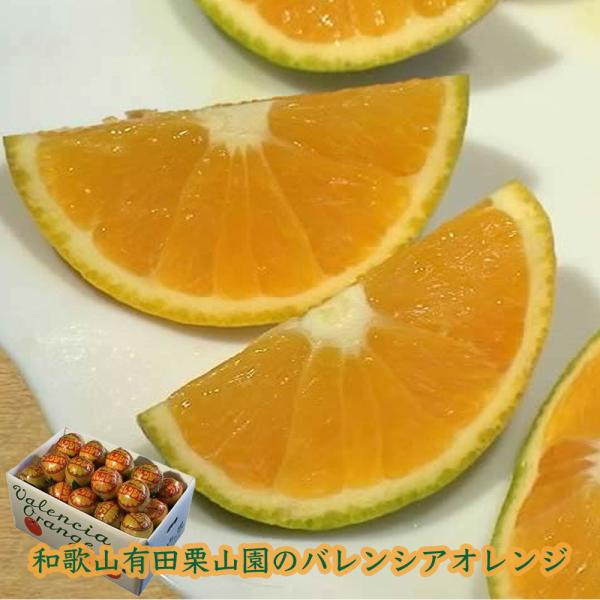 栗山園の国産バレンシアオレンジ 7kg 和歌山県産 安心の国産オレンジ 個包装でご贈答、御中元、のギ...