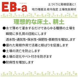 土壌改良剤 EB-a 20L 林化学工業 土壌...の詳細画像1