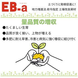 土壌改良剤 EB-a 20L 林化学工業 土壌...の詳細画像4
