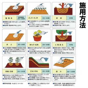 土壌改良剤 EB-a 20L 林化学工業 土壌...の詳細画像5