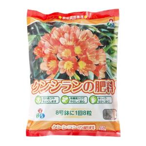 クンシランの肥料 550g 朝日アグリア 有機入りでやさしく安心 ゆっくりながく効く 肥料