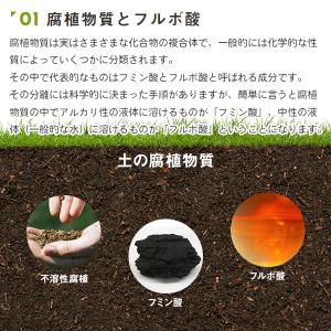 カナディアンフルボ 500ml PIC-BIO...の詳細画像1