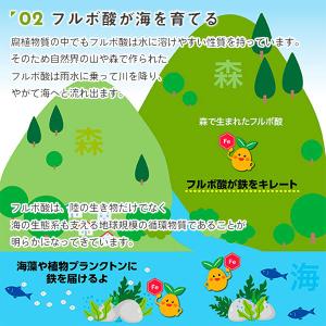 カナディアンフルボ 500ml PIC-BIO...の詳細画像2