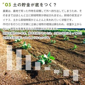 カナディアンフルボ 500ml PIC-BIO...の詳細画像3
