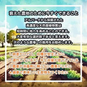 カナディアンフルボ 500ml PIC-BIO...の詳細画像5