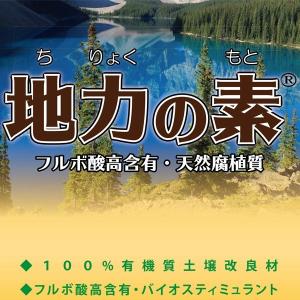 地力の素 カナディアンフミンリキッド12 20...の詳細画像1