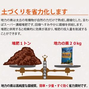 地力の素 カナディアンフミンリキッド12 20...の詳細画像4