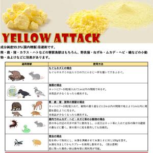 YELLOW ATTACK (イエローアタック...の詳細画像1