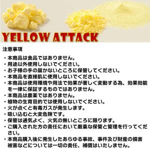 YELLOW ATTACK (イエローアタック...の詳細画像2